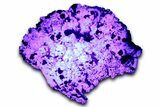 Highly Fluorescent Green Fluorite Crystals with Galena - India #348247-2